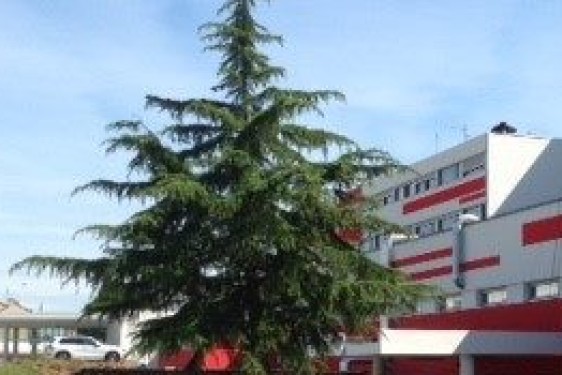 Clinique du Renaison