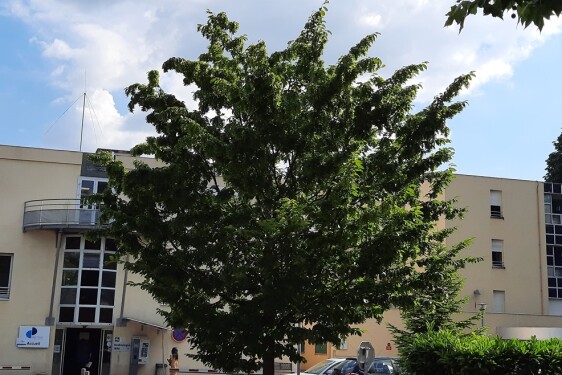 Clinique Pasteur (24)