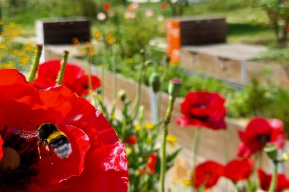 Ouvrier Paysagiste H/F