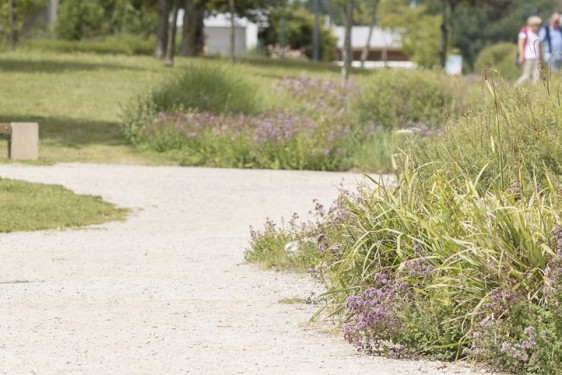 Headerafbeelding - Algemeen