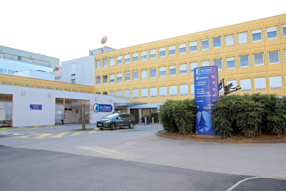 Les Cèdres